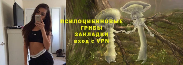 герыч Козловка