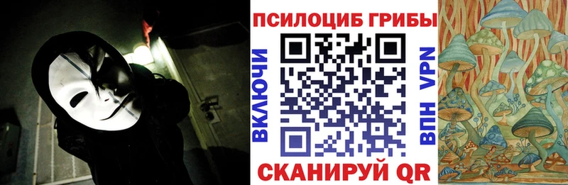Купить где Жуков Галлюциногенные грибы GOLDEN TEACHER